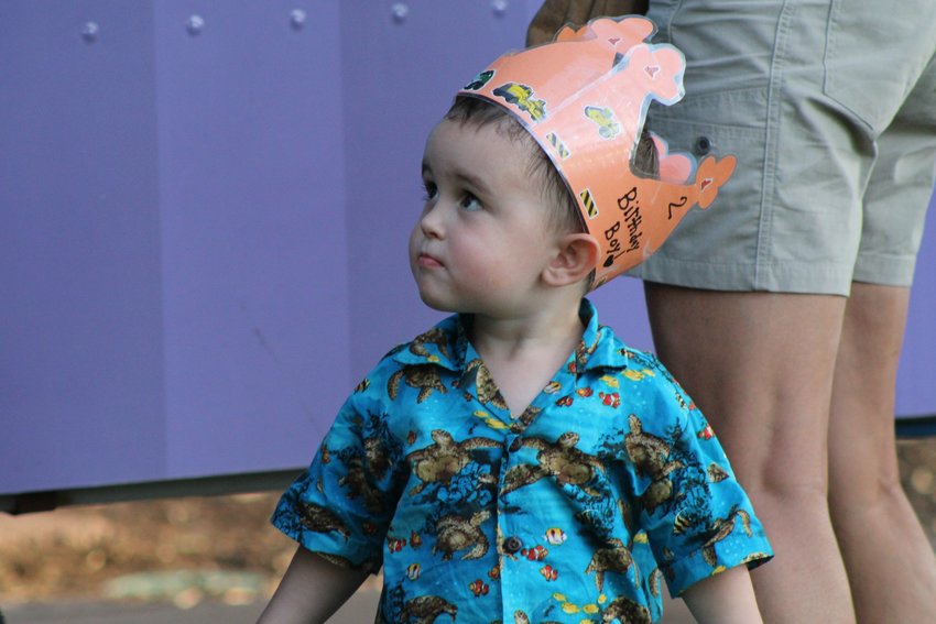Theodore, 2, wears a crown to celebrate his birthday at Movies & Music in the Park Aug. 12 at Parfet Park.